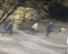 "Шансов выжить нет": неизвестные люди разбрасывают отраву по Одессе, обнародовано видео