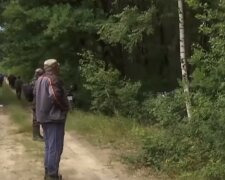 Депутата семи скликань знайшли біля лісу: що сталося з 79-річною жінкою