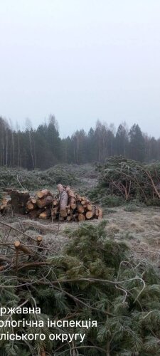 Держекоінспекція