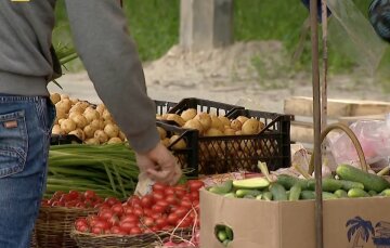 Дефіцит овочів у Дніпропетровській області