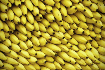 фрукты бананы