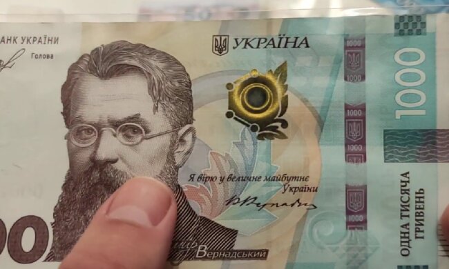 Денежная помощь для ВПЛ в Николаевской области