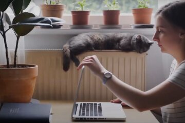 зарплата, робота