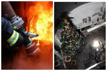 Пожар охватил жилой дом с новогодней елкой: кадры ЧП под Одессой