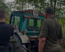 Забруднили ліс тирсою та сміттям: держбюджет поповнився на 1,6 мільйона гривень після суду з «Лісами України»