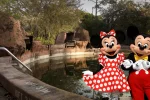 640-seph-lawless-abandoned-disney-waterpark-04_