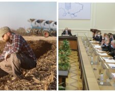 Втрата врожаю на Одещині, Кабмін обвів фермерів навколо пальця: "Немає механізмів для..."