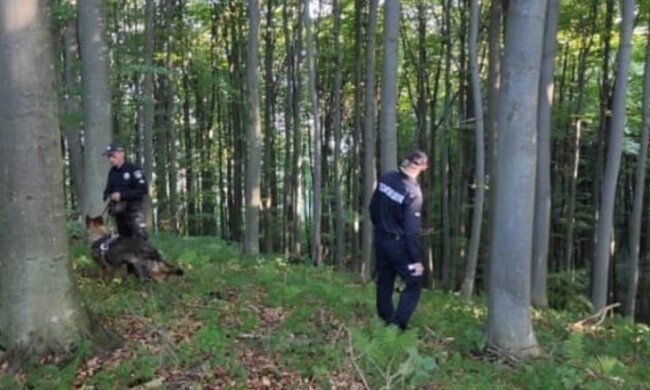 полиция, полиция Украины