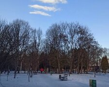Трагедия случилась с 17-летней девушкой в львовском парке: приехали спасатели, но было уже поздно