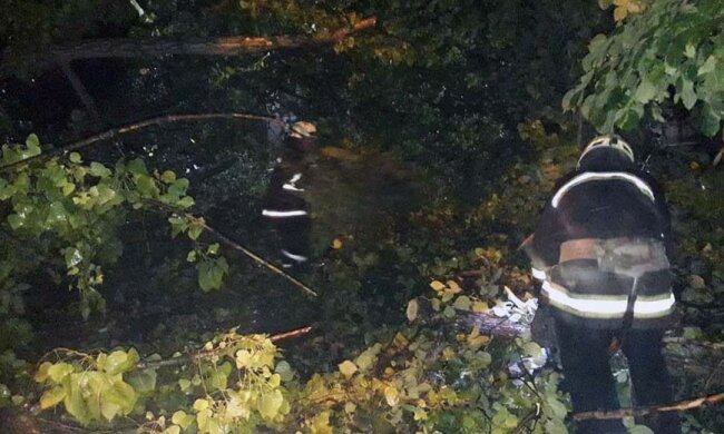 Величезна тополя впала у дитсадку Дніпра, фото: рятувальники кинулися на допомогу