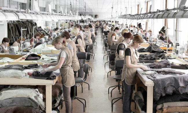 Нардеп:  Президент не допустит уничтожения норковых ферм