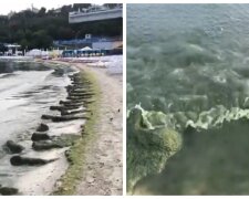 "Зелений борщ" замість моря і нестерпний сморід: сумне відео з одеського пляжу