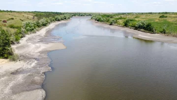 Подрыв Каховской ГЭС: вода стала ядом, а дельфины – жертвами