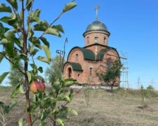 УПЦ просити допомоги у відновленні Спасо-Преображенського Межигірського монастиря