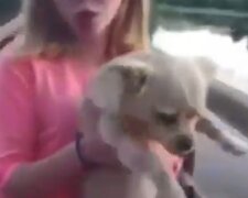 Діти знущалися над собакою і знімали все на камеру: "заради лайків"
