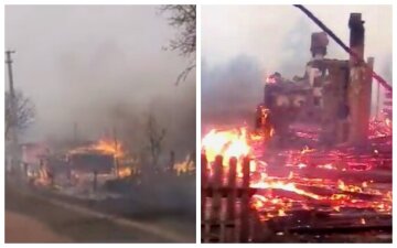 Леса и жилые дома уничтожены, пожары в Украине не утихают: новые кадры из эпицентра бедствия