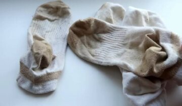 шкарпетки