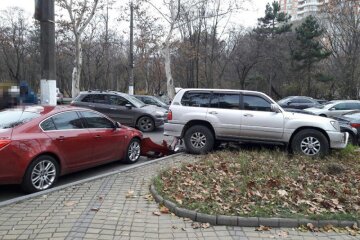 picturepicture_154341408970566920241768_72862