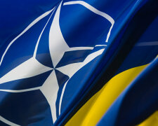 Украина может войти в НАТО быстрее, чем ожидалось: что нужно сделать