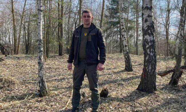 Масовий збір березового соку дозволений лише за наявності спеціального лісового квитка: Держекоінспекція нагадала про дозволи і штрафи