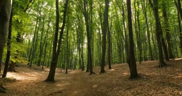 Прогноз погоды с 25 марта по 3 апреля в Харькове.