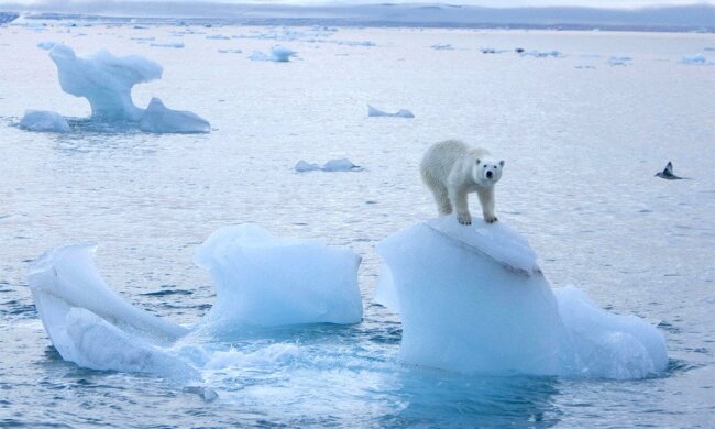 1490267103_pg-6-arctic-ice-pa