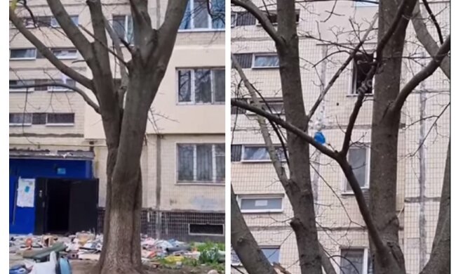 "Весеннее обострение": одессит выбрасывал из окна многоэтажки мебель, технику и другое, видео