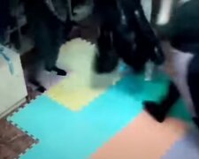На Київщині директор садочка побилася з вихователькою, все відбувалося на очах у дітей: відео