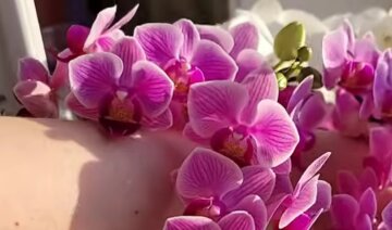 Цвітіння орхідеї