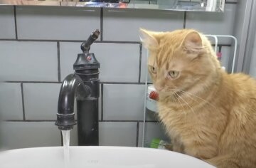 Відключення води в Одесі 8 травня