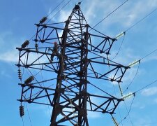 графіки відключення світла у Київській області на 12 травня