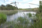 природно-заповедный фонд украины, природа, посадка, река, скрин