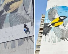 В Харькове уничтожили огромный мурал, украшавший дом 5 лет: "решили утеплиться"