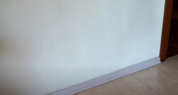 ����: politeka.net