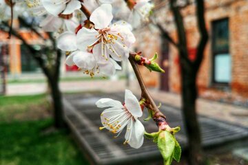 весна погода