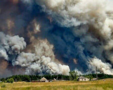 Лісові пожежі в Луганській області: рятувальники зробили екстрену заяву