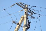 графіки відключення світла у Полтавській області на тиждень з 8 по 14 червня