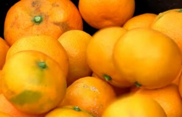 Дієтологи назвали тих, кому шкідливі мандарини: які хвороби може викликати продукт