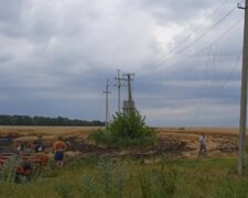 Масштабна пожежа знищила урожай на Харківщині: фото з місця НП
