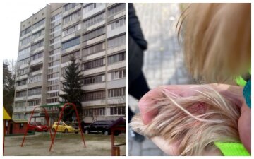 Под Днепром неадекват стреляет в детей и животных, фото: "Личность стрелка устанавливают правоохранители"