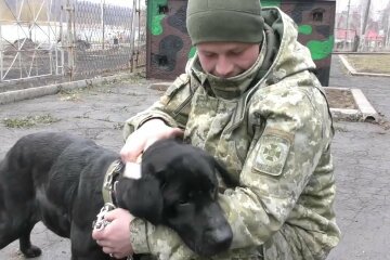 пограничники