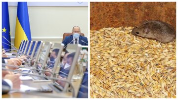 "Мыши проголодались": в Кабмине придумали, как потратить миллионы после "исчезновения" зерна в Госрезерве