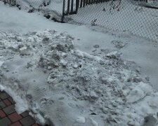 Чорний сніг на Прикарпатті. Представник Держпродспоживслужби прокоментував ситуацію