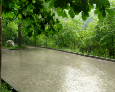 Прогноз погоди на тиждень з 23 по 29 квітня у Полтаві