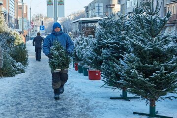 Новый год 2020 и елка в Днепре: где и за сколько можно приобрести зеленую красавицу