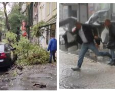 Одессу накрыло непогодой, мощный ветер валит деревья: видео происходящего