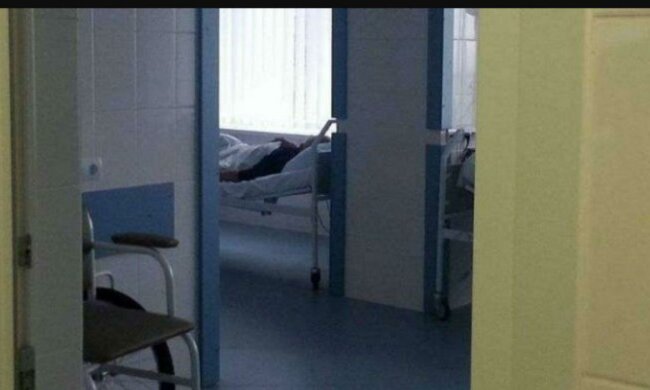 Неадекватный киевлянин спустил на пенсионера бойцовских псов: "Не по душе место парковки"