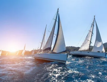 Sea Pilgrims