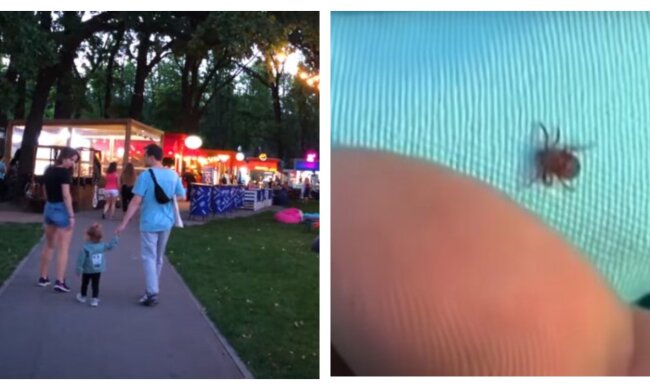 Кліщі атакують харків'ян, жителі просять про допомогу: "Так ще не було"