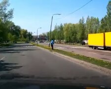 По Киеву бегает рогатый зверь, видео: "Прыгает под авто"